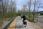 Kilku rowerzystów jadą po ścieżce rowerowej. Po obu stronach ścieżki drzewa.