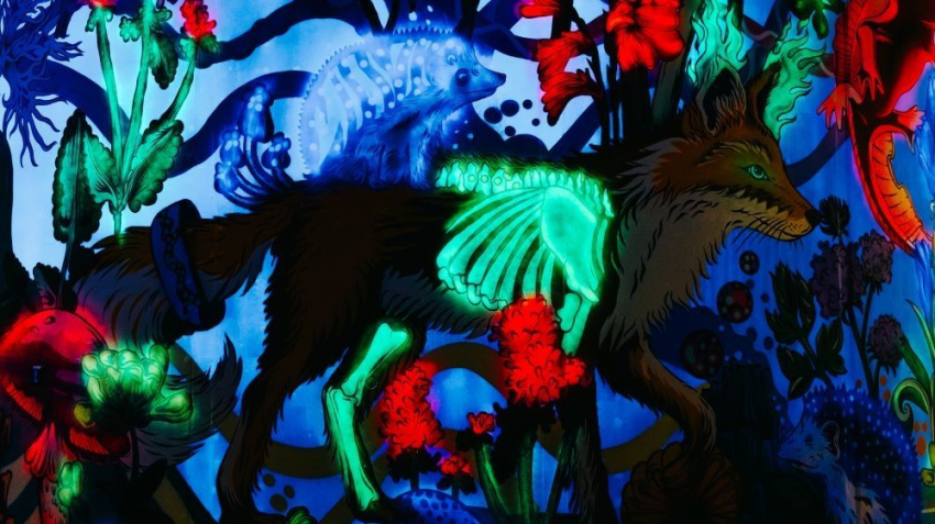 Grafika-jeż na lisie.