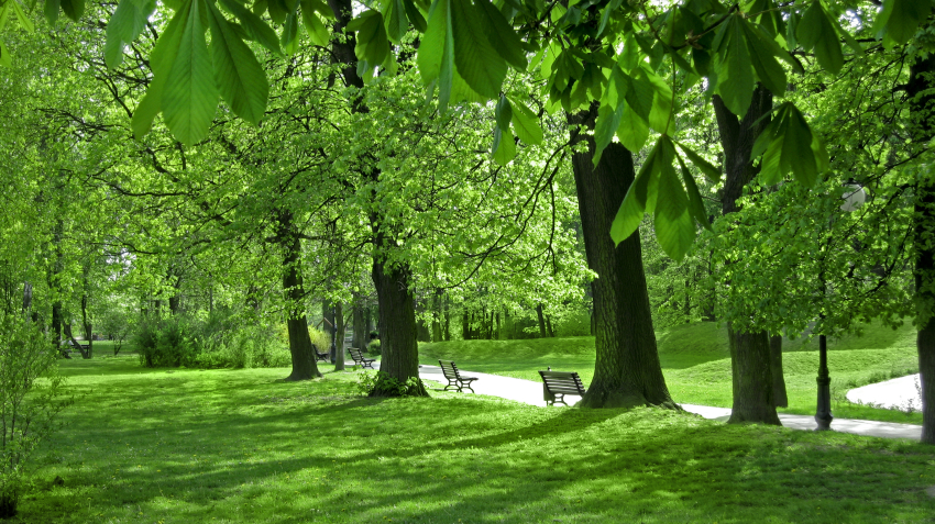 Park w Skawinie