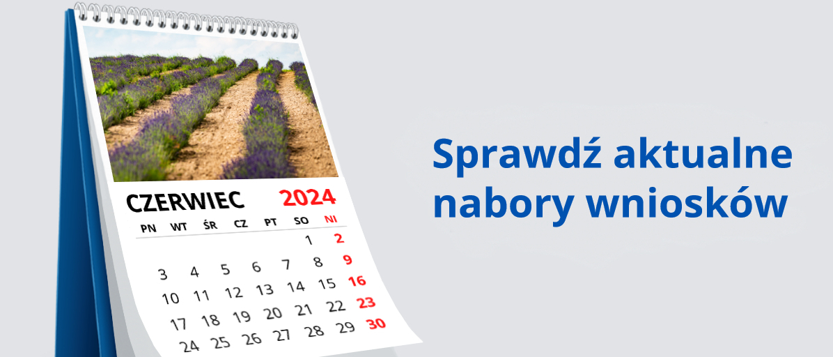 Kalendarz biurkowy