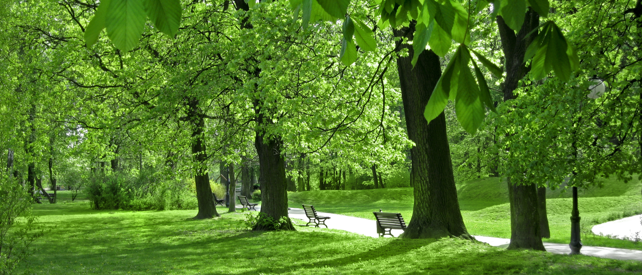 Park w Skawinie